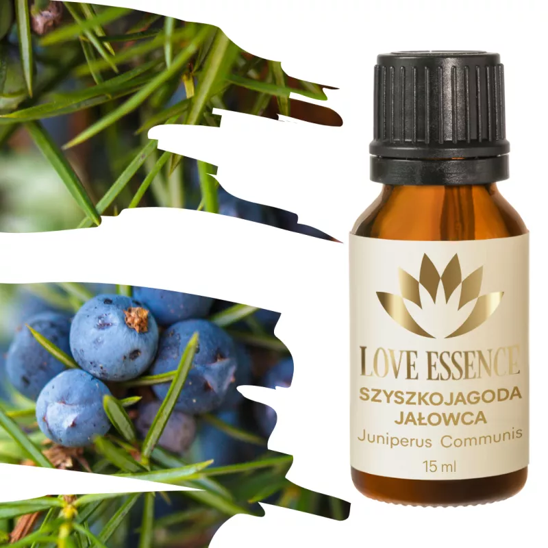 Olejek z szyszkojagody jałowca Olejek z szyszkojagody jałowca