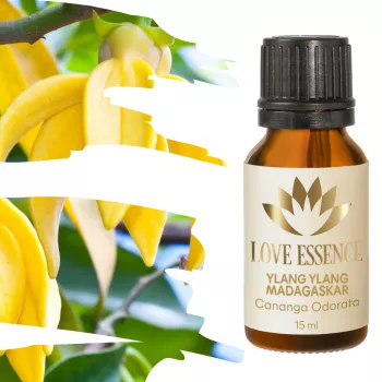 Olejek ylang - ylang