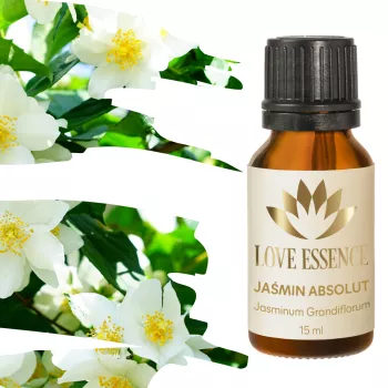 Absolut z jaśminu grandiflora