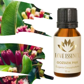 Olejek goździkowy pąk