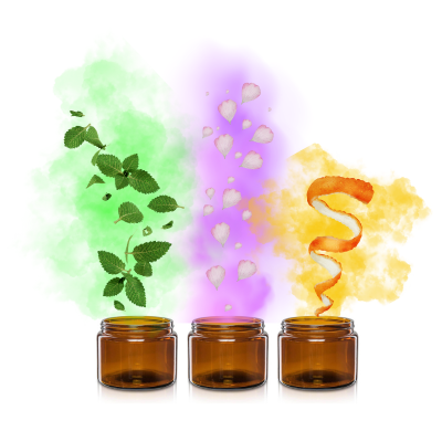  Trening węchowy ratunkiem na osłabione powonienie